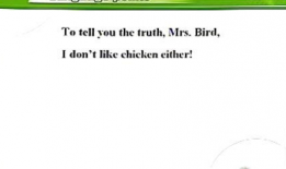 英语视频,Summarizing Key Points from the English Video